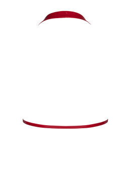 F392 Troublemaker Bralette Red